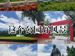 -莲花山公园
