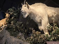 -陕西自然博物馆