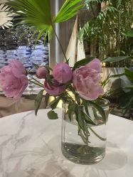 -ChenV西服礼服高级定制(市区养育巷店)