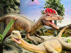 -国家自然博物馆