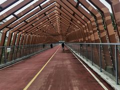 -白鹭湾湿地公园