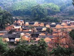 -杨家堂村
