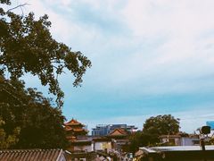 -Sirena海妖日咖夜酒