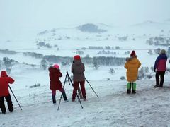-塞罕坝国家级自然保护区