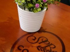 android_upload_pic-SPR COFFEE(兴正元店)