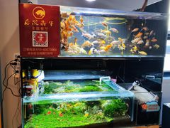 -后院犇牛主题餐厅(云岗店)