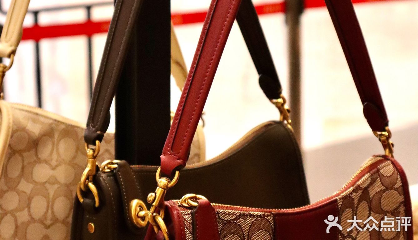 ‼️COACH鲨疯了4k拿下4个包❗️❗️❗️