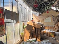 -马陆小张葡萄园农家乐