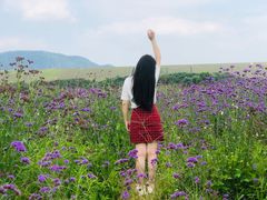 -光明小镇欢乐田园