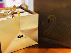 -BLACKSWAN黑天鹅(环球店)