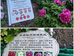 -太阳宫公园