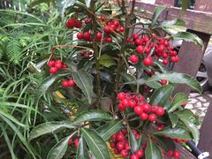 -国生茶庄·地道农家菜团建活动