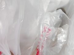 -邓氏兔头