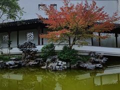 -秋霞圃