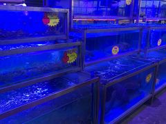 -八仔大富楼·河鲜(西江店)