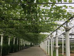 -白鹿原葡萄主题公园