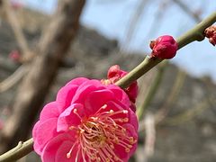 -北京明城墙遗址公园