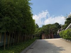 -三星美术馆Leeum