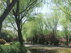 -洛阳市隋唐城遗址植物园