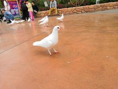 -济南方特东方神画