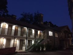-香港大学
