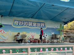 -光明农场大观园