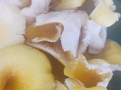 -木王宴语·野生鲜菌火锅(玉河店)
