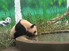-天津市动物园