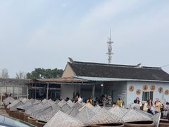 -苏州市吴中区光福窑上花果蜜饯厂