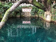 -蝴蝶泉公园