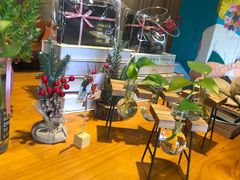 -ZING COFFEE 镜咖啡