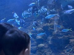 -南昌海洋公园