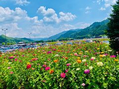 -五台山风景区