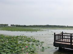 -天津东丽湖风景区