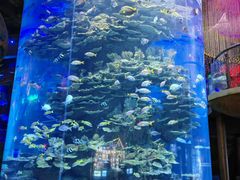 -泉城欧乐堡海洋极地世界