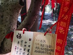 -西华公园