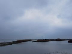 -太湖湖滨国家湿地公园-停车场