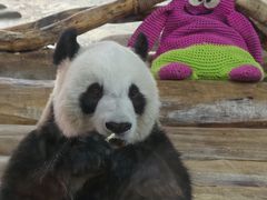 -海南热带野生动植物园