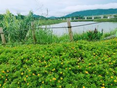 -光明小镇欢乐田园