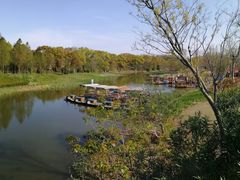 -上海长兴岛郊野公园