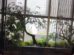 -海立阁海鲜江浙菜(漕河泾印象城店)