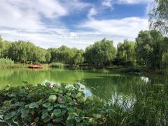 -燕郊植物园