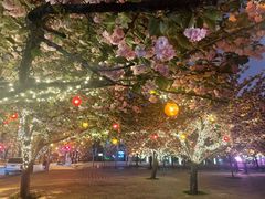 -烛影拾光·创意菜·鲜花·音乐(曲江钻石半岛店)