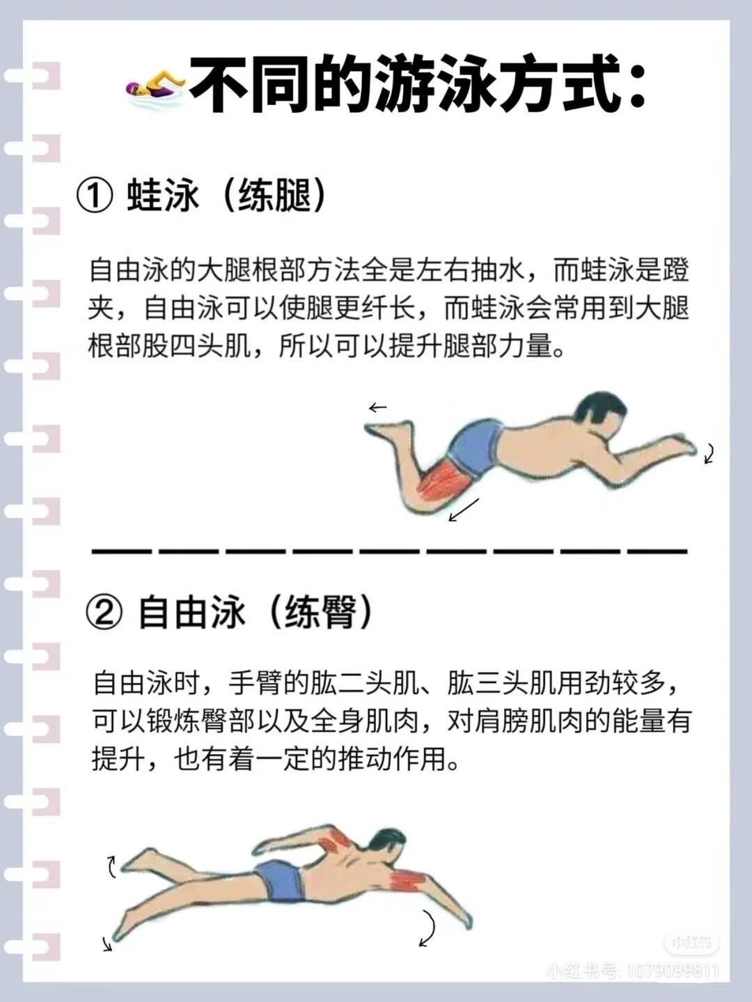 各种游泳的方式