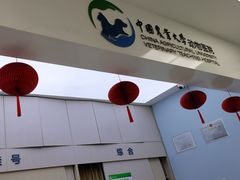 -中国农业大学动物医院
