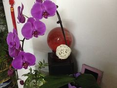 -FEI FEI FLOWER鲜花店·气球派对·宝宝宴布置(虹口德必运动Loft店)