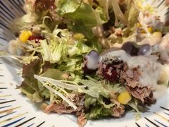 美国蔬菜肉沙拉-龙记·香港茶餐厅(海上世界店)