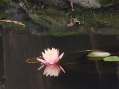 -望江楼公园