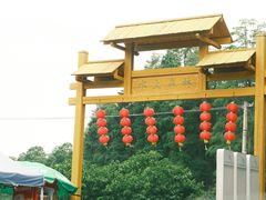-渌洋湖湿地公园