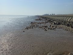 -南汇新城海滩